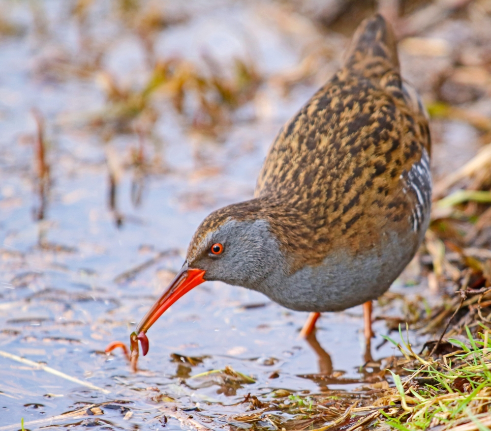 Latest Sightings